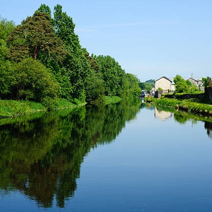 Mental health supports Carlow