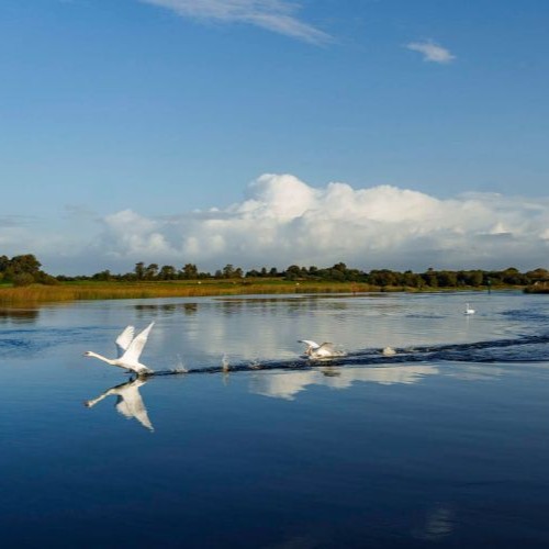 Mental health supports Longford