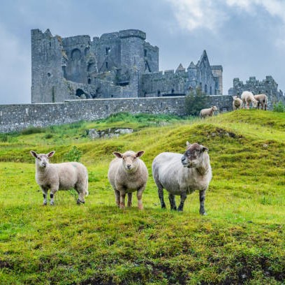 Mental health supports Tipperary