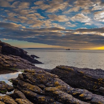 Mental health supports Waterford